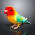 Colorful Bird With Red Head Yellow Body Green Wings Blue Tail On Dark Reflective Surface