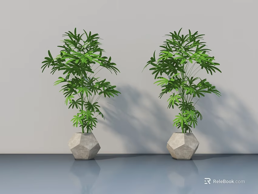 Two Lush Bonsai Plants In Hexagonal Stone Pots Against Gray Wall And Floor 3d model 