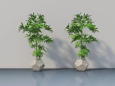 Two Lush Bonsai Plants In Hexagonal Stone Pots Against Gray Wall And Floor 3d model