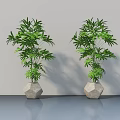 Two Lush Bonsai Plants In Hexagonal Stone Pots Against Gray Wall And Floor