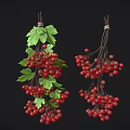 Fresh Red Berries with Green Leaves Hanging on Black Background