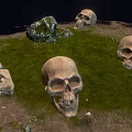 Medical Anatomical Skull Specimens Lying On Grassy Ground With Stones