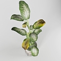 green plant plant pot leaf 3d model