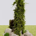Climbing Green Vine Wrapping Around Structure With Stones Small Plants On Green Grass
