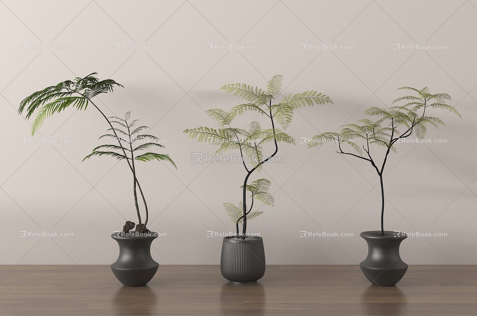 Home plant potted plant green plant bonsai 3d model