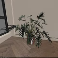 Indoor Large Leaf Potted Plant in Brown Ceramic Pot Near Window with Wooden Floor and White Wall