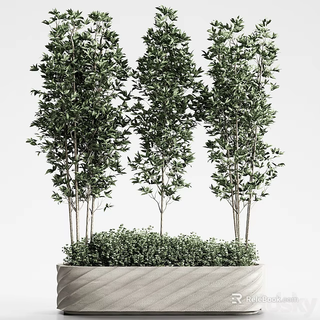 Decorative Green Leafy Potted Plants with Tall and Short Stems in Textured Planter 3d model 