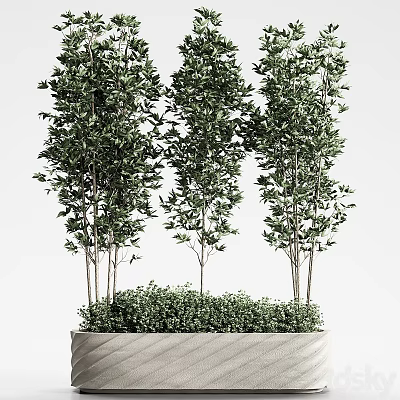Decorative Green Leafy Potted Plants with Tall and Short Stems in Textured Planter 3d model