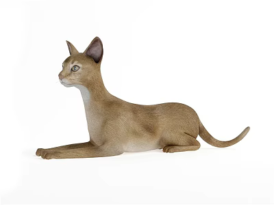 Realistic Light Brown Cat Sculpture in Lying Posture Animal Art Piece 3d model