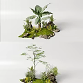 Lush Green Garden Plants Featuring Banana Tree Stones Moss Small Grass And Greenery
