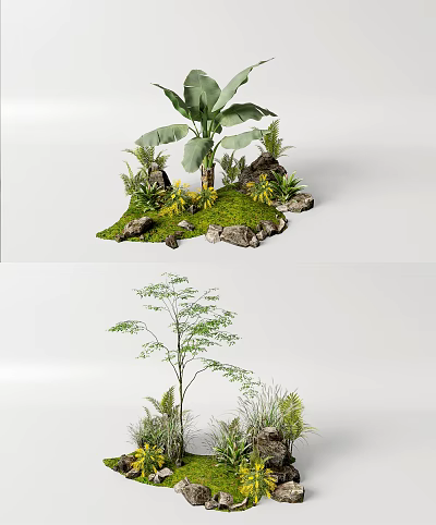Lush Green Garden Plants Featuring Banana Tree Stones Moss Small Grass And Greenery 3d model