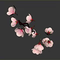 Elegant Curved Branch With Multiple Pink Flowers And Water Reflection On Gray Background