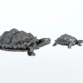 Black Reptile Turtles Large And Small Specimens On White Background 3d model