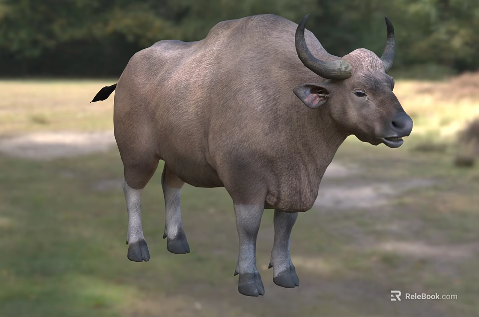 Brown Reptile Lizard Basking On Warm Rock In Natural Desert Environment 3d model 