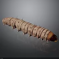 Detailed Pink Caterpillar With Ringed Stripes And Spikes On Elongated Body