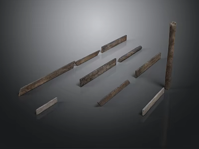 Natural Plant Wooden Sticks and Logs Displayed on Dark Background 3d model