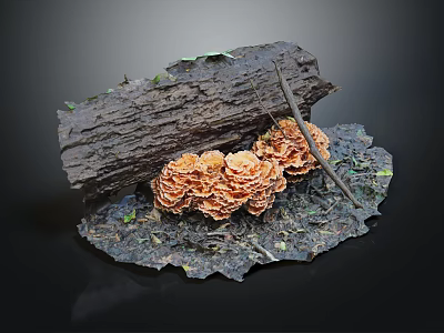 Natural Wooden Log Display With Stone Base And Orange Mushrooms On Textured Surface 3d model