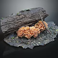 Natural Wooden Log Display With Stone Base And Orange Mushrooms On Textured Surface