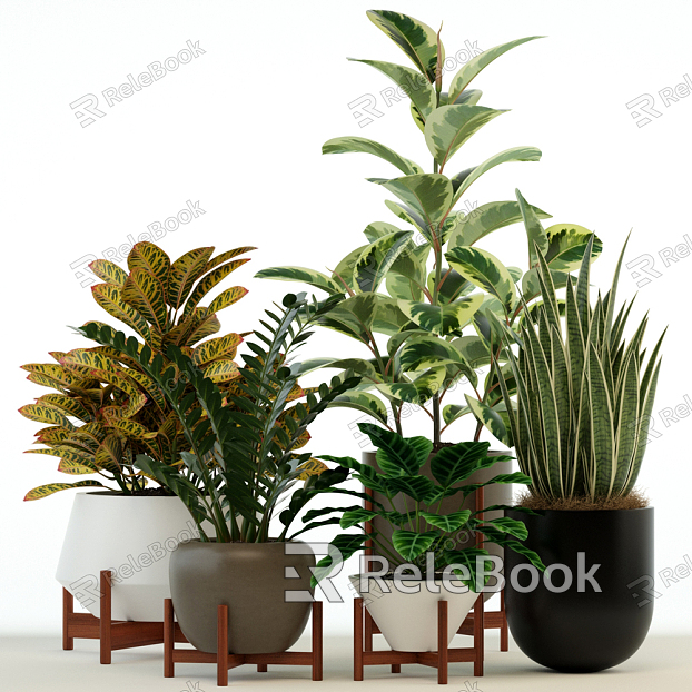 Nordic Potted Plant Collection model