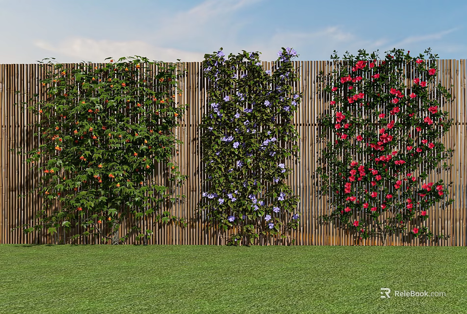 Vine Plants With Red And Purple Flowers Covering Wooden Fence On Green Lawn Under Blue Sky 3d model 
