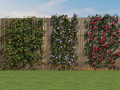 Vine Plants With Red And Purple Flowers Covering Wooden Fence On Green Lawn Under Blue Sky 3d model
