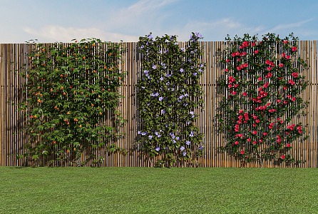 Modern Vine Plant Green Plant Wall Flower Creeper Wall Creeper 3d model