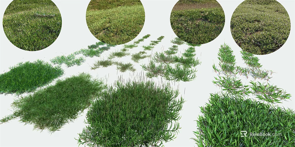 Various Green Grasses And Plant Varieties For Garden Landscaping Design 3d model 