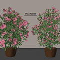 Modern potted plants potted plants pot peony flower peony 3d model