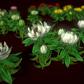 Vibrant Cartoon Scene With Various Colored Flowers White Pink Yellow Red And Green Leaves