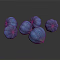 Fresh Blue Plant Fruits With Round Shape And Smooth Surface On White Background