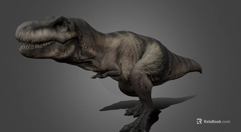 Large Head Sharp Teeth Strong Hind Legs Small Forelimbs Dinosaur Reptile 3D Model 3d model