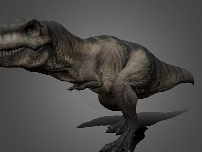 Large Head Sharp Teeth Strong Hind Legs Small Forelimbs Dinosaur Reptile 3D Model 3d model
