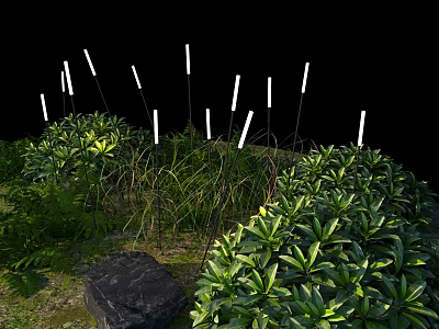 Modern Outdoor Lights Illuminating Garden with Reed like Plants Green Foliage and Stones 3d model
