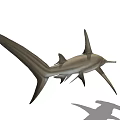 Realistic Hammerhead Shark 3D Model on White Background with Shadow 3d model