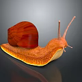 Vibrant Orange Snail with Red Striped Shell and Textured Body on Dark Background