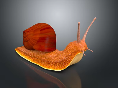 Vibrant Orange Snail with Red Striped Shell and Textured Body on Dark Background 3d model