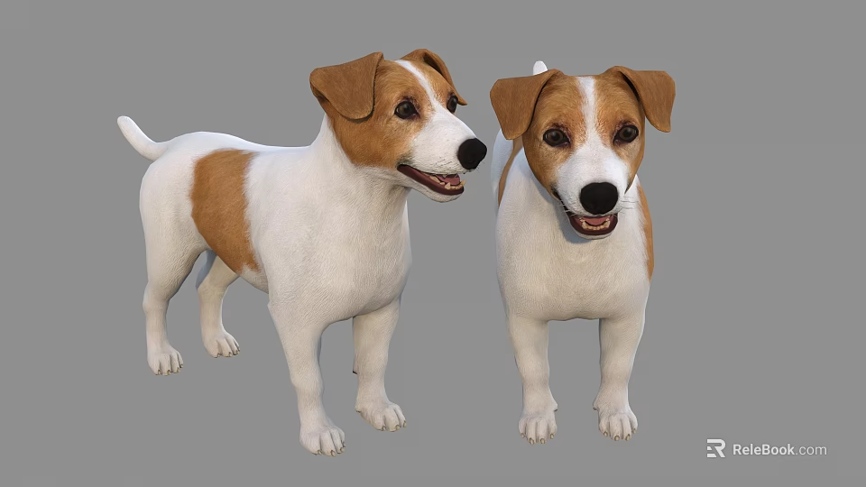 Two Brown And White Dogs Standing Together On Gray Background With Friendly Faces 3d model 
