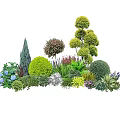Diverse Plant Combinations For Garden Landscape With Shrubs Flowers And Ornamental Grasses
