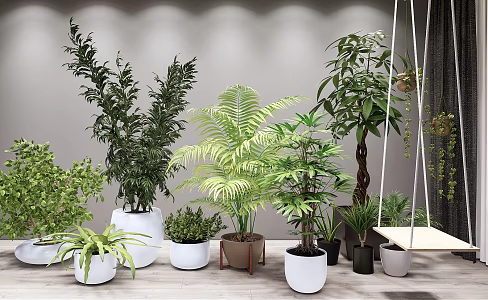 Modern Potted Green Plant Potted Hanging Chair Swing Combination 3d model