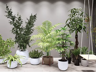 Modern Potted Green Plant Potted Hanging Chair Swing Combination 3d model