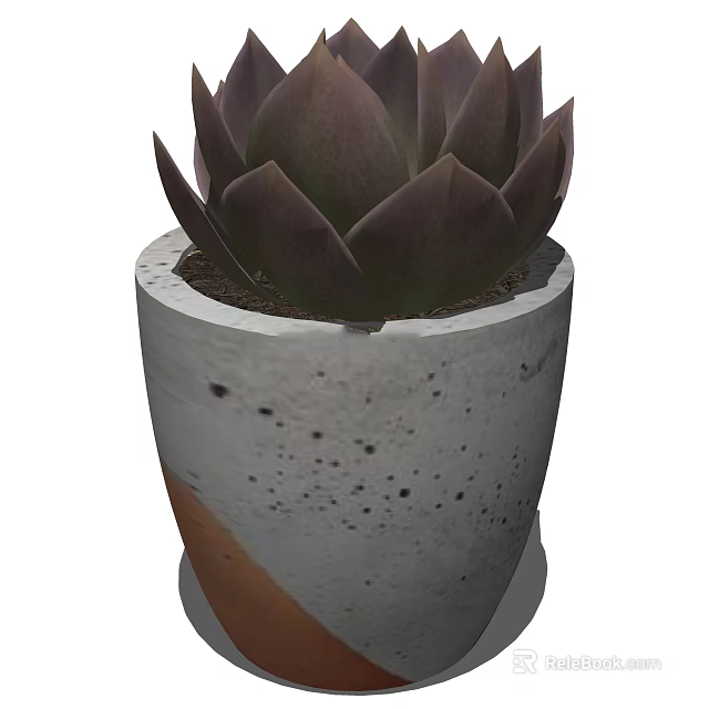 Bonsai Potted Plant With Deep Purple Leaves In Gray Concrete Spotted Pot 3d model 