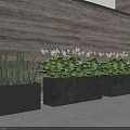 Green Plants With White Flowers In Modern Rectangular Planters Against Wooden Wall 3d model
