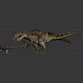 Colorful Dinosaur Toy Figures With Various Species And Different Sizes On