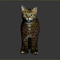 Realistic Tabby Cat Standing On Reflective Surface With Striped Fur And Green Eyes