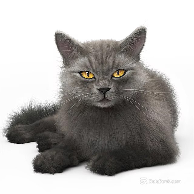 Fluffy Gray Cat With Bright Yellow Eyes Lying On White Background 3d model