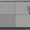 Natural Plant with Green Leaves White Flowers and Exposed Root with Soil