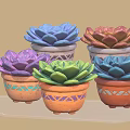 Colorful Succulent Plants in Decorative Pots on Transparent Tray for Indoor Garden Decoration