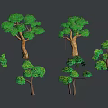 Different Types Of Green Leafy Trees With Various Heights And Shapes