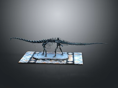 Detailed Dinosaur Skeleton Model With Extended Tail On Decorative Display Base 3d model