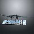 Detailed Dinosaur Skeleton Model With Extended Tail On Decorative Display Base 3d model